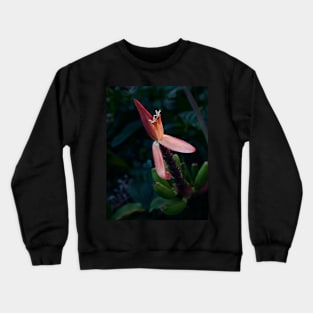 Botanical Crewneck Sweatshirt